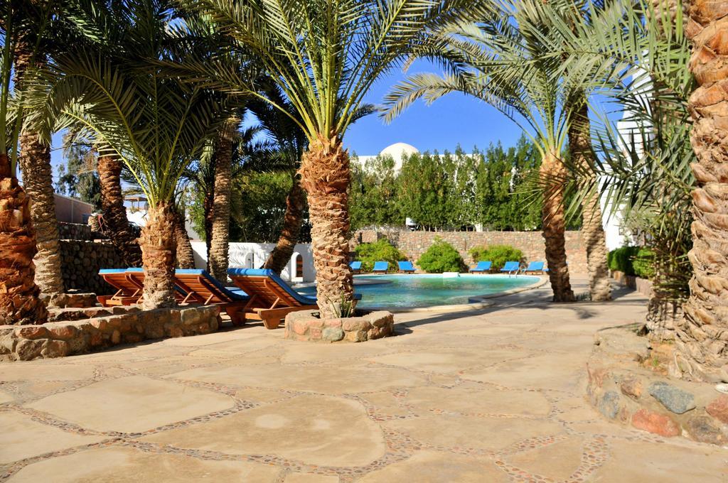 Dahab Divers Exterior photo