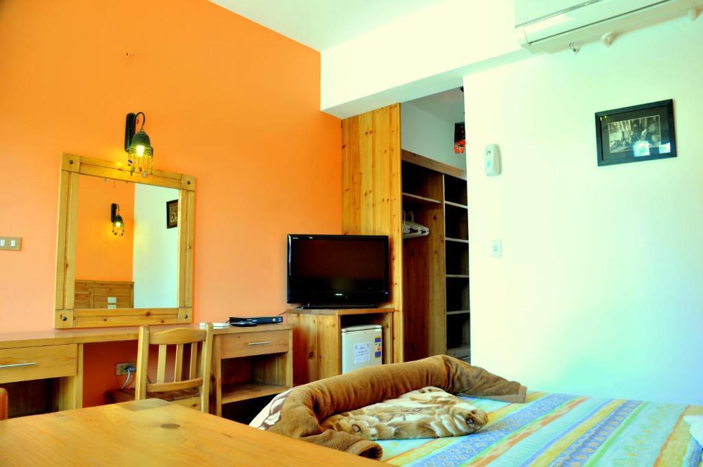 Dahab Divers Room photo