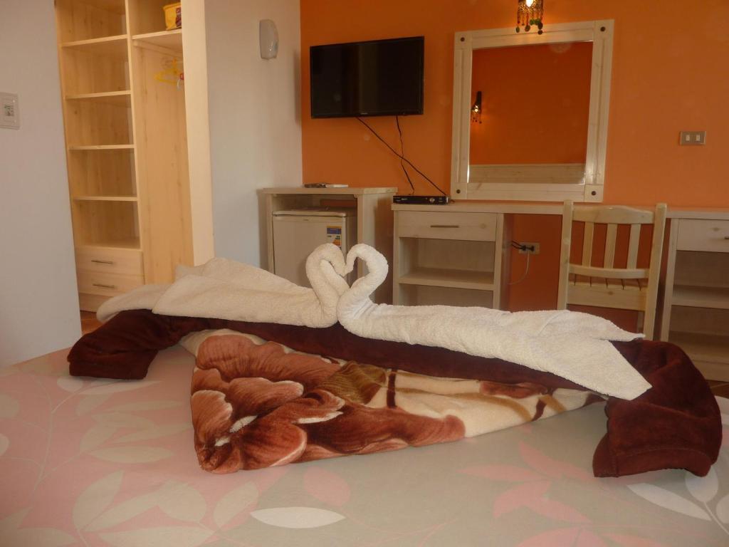 Dahab Divers Room photo