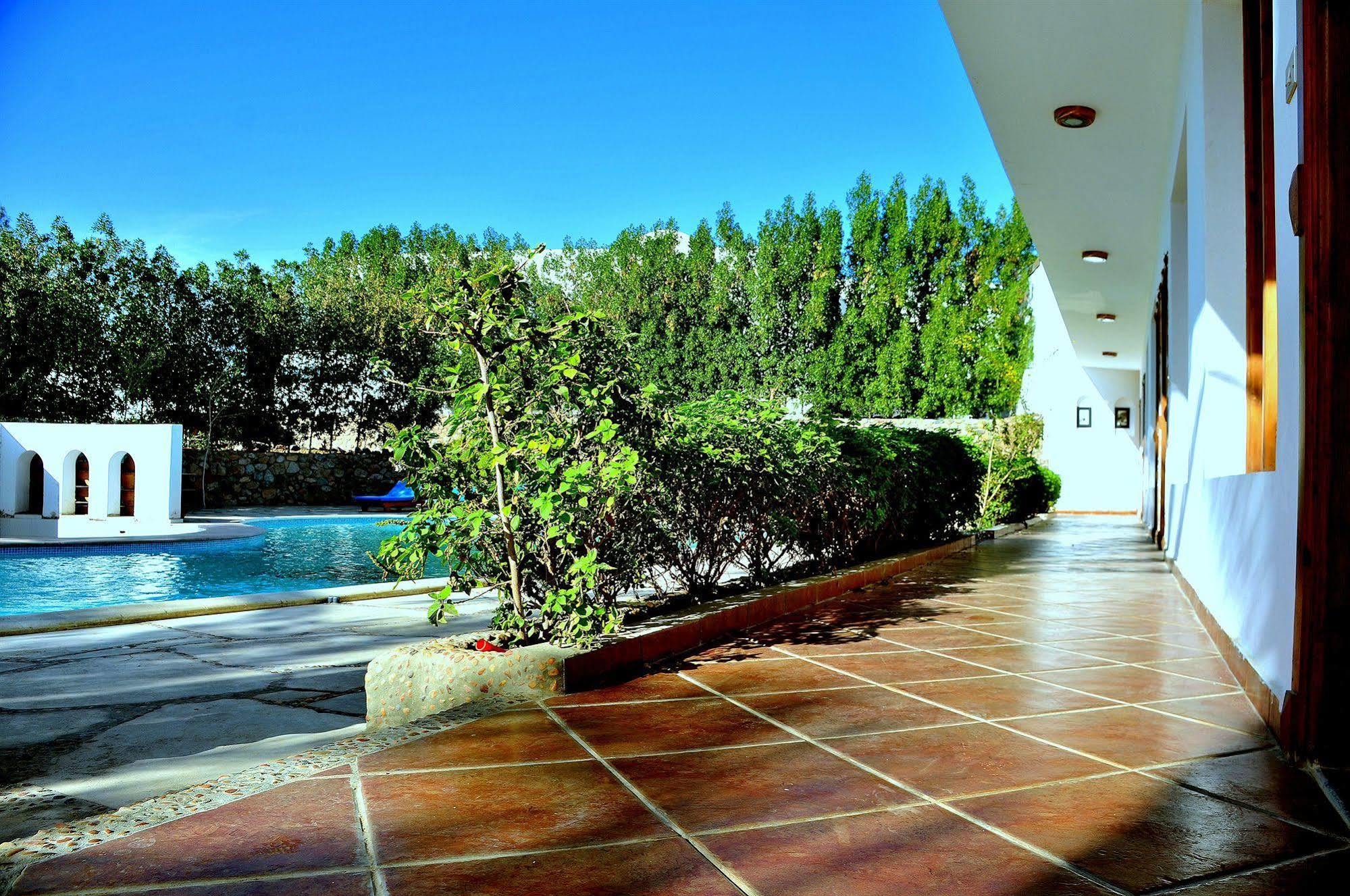 Dahab Divers Exterior photo